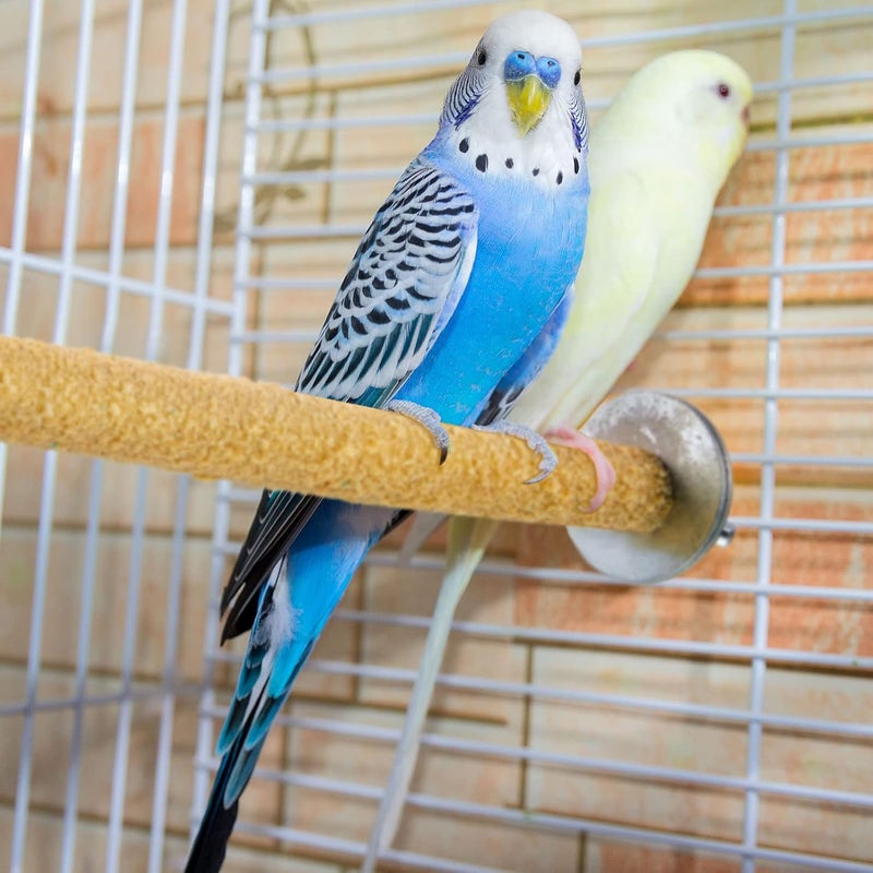 Deekin 10 Pieces Bird Perch Stand Parrot Stand Paw Grinding Stick Parrot Perch Rough Surfaced Bird Cage Stand Colorful Wooden Parakeet Perch Bird Toys for Cockatiels Bird Cage Accessories - Image 5