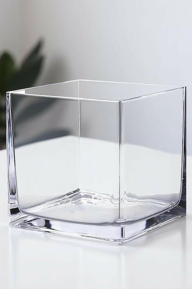 BYYU Square Glass Vase 10x10