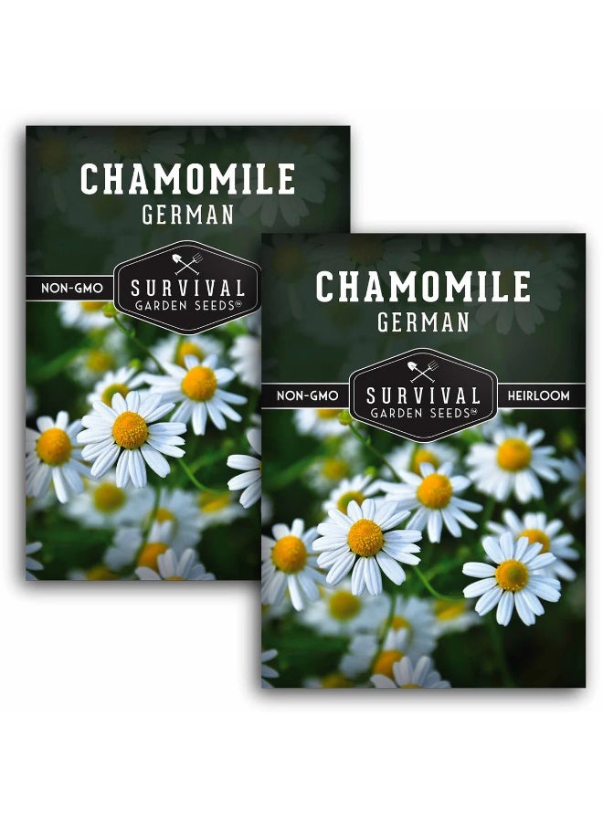 BIOCARVE SEEDS German chamomile seeds