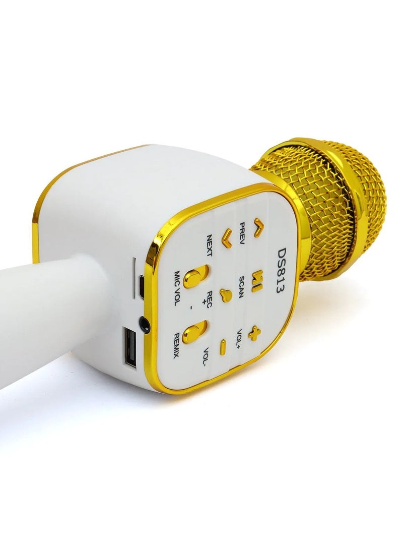 Wireless Bluetooth Karaoke Microphone With Bluetooth Speaker - Image 5