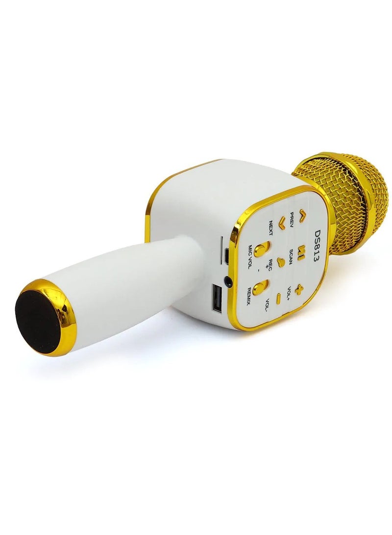 Wireless Bluetooth Karaoke Microphone With Bluetooth Speaker - Image 3
