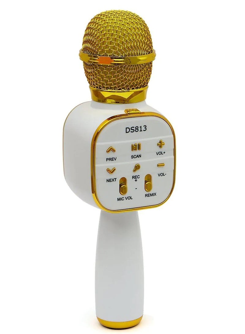 Wireless Bluetooth Karaoke Microphone With Bluetooth Speaker - Image 1