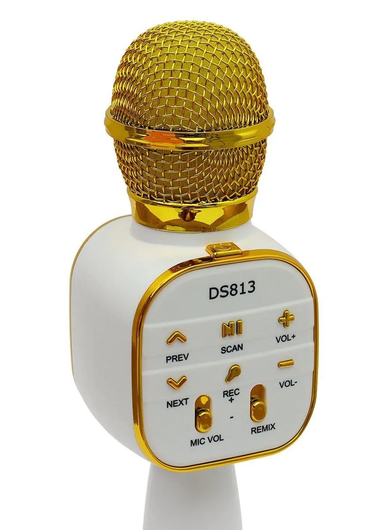 Wireless Bluetooth Karaoke Microphone With Bluetooth Speaker - Image 4