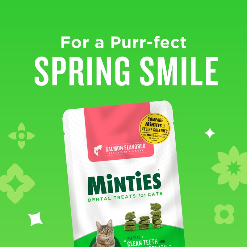 Minties Dental Treats for Cats, Salmon Flavored Cat Dental Treats, Freshens Breath and Controls Tartar, 10oz - Image 3
