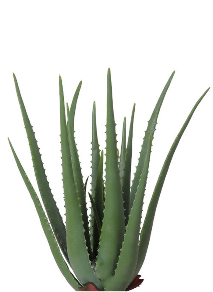 DRAMA HOME Artificial Tree Simulating Natural Cactus Tree in Shape and Texture 60cm  - Image 2