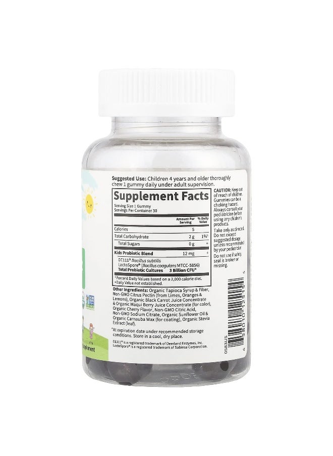 Garden of Life Garden of Life, Kids Probiotic Gummies, Cherry, 3 Billion CFU, 30 Vegetarian Gummies  - Image 2