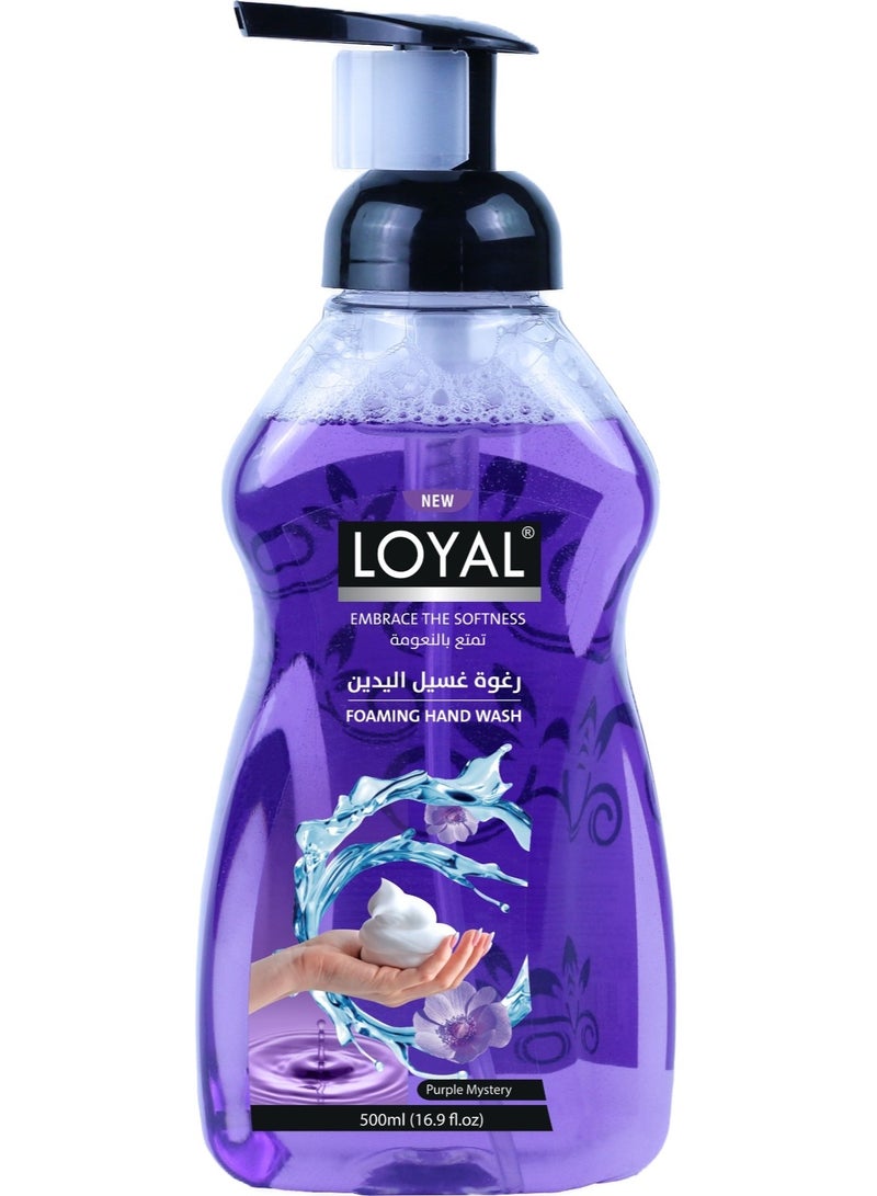 loyal احتضان النعومة غسول يدين رغوي يحافظ على نعومة البشرة - 500 مل