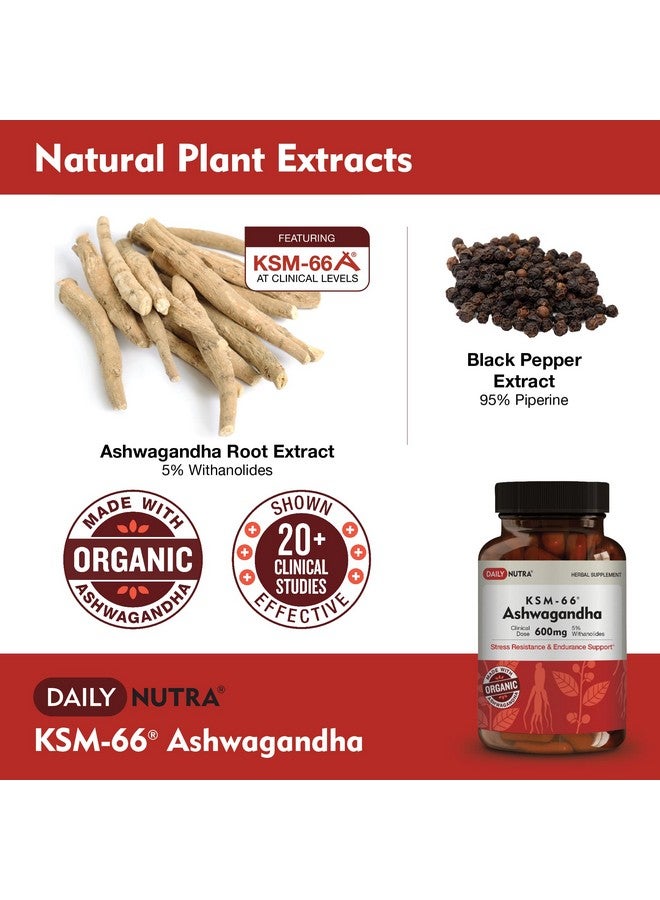 DailyNutra KSM-66 Ashwagandha 600mg Organic Root Extract - High Potency Supplement with 5% Withanolides | Supports Relaxation, Focus, & Energy (270 Capsules) - Image 3