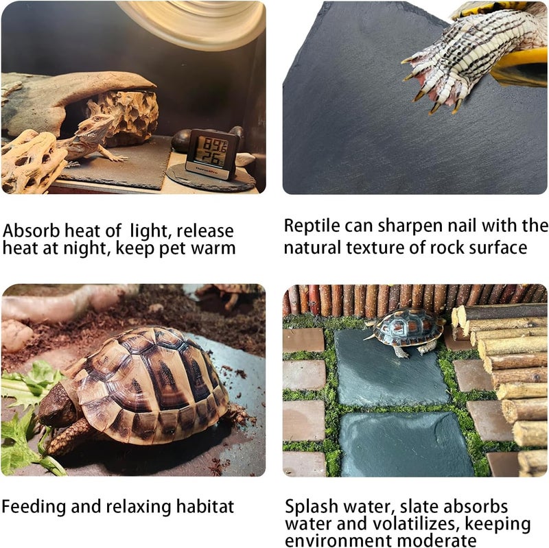 INOSCIND Reptile Basking Platform,Slate for Tortoise,Turtle Feeding Slate,Habitat Decor Accessories Basking Rocks for Bearded Dragons Chameleon Snake Frog Lizard Gecko bowl - Image 5
