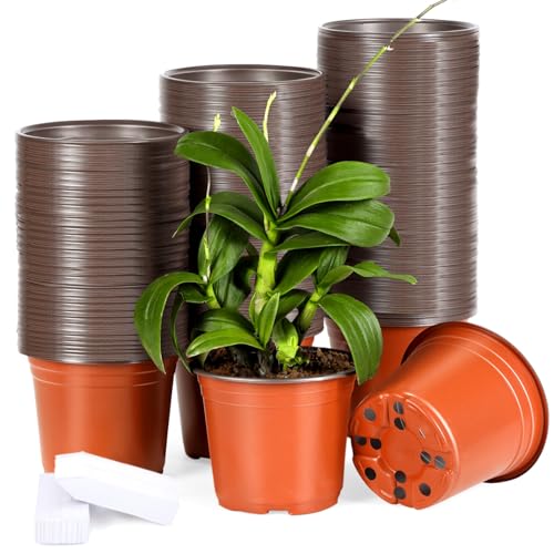 Hemikaki 200 Pack 6 Inch Plastic Nursery Pots for Plants Seedling Pots Succulent Pots Flower Pots with Drainage Holes Come with 200pcs Plant Labels - Image 1