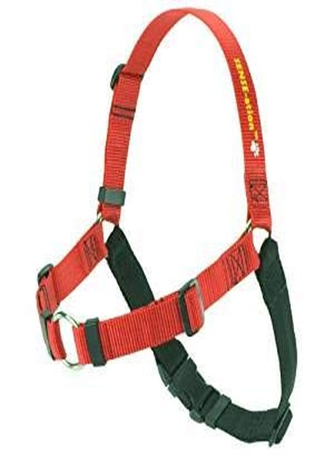 Softouch The Original Sense-ation No-Pull Dog Training Harness (Red, Extra Small, Wide)