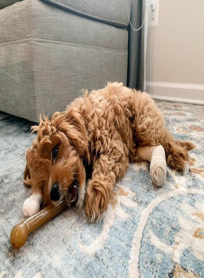 نيلابون لعبة مضغ مرنة أصلية من نايلابون للكلاب، ألعاب مرنة للكلاب متوسطة المضغ، بنكهة الدجاج، حجم كبير/عملاق، قطعة واحدة - Image 2