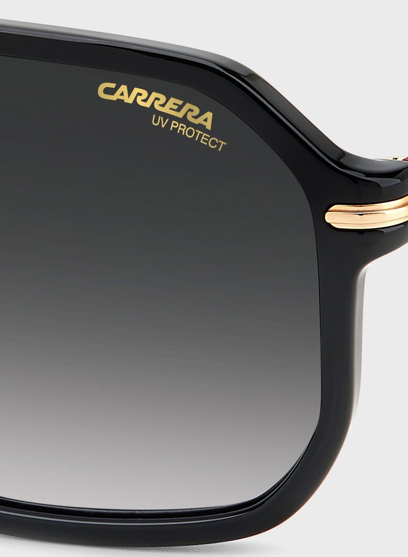 كاريرا نظارات شمسية واي فيرر - Image 3