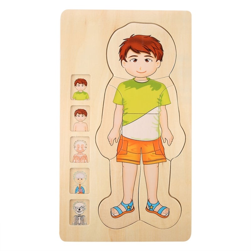Wooden Brick Toy 3-Layer Educational Body Puzzle - Non-Toxic Colorfast Durable Human Anatomy Learning Toy for Toddlers - Image 2