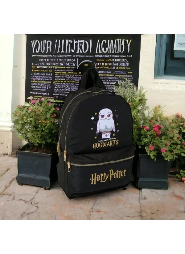 Harry Potter School Bag