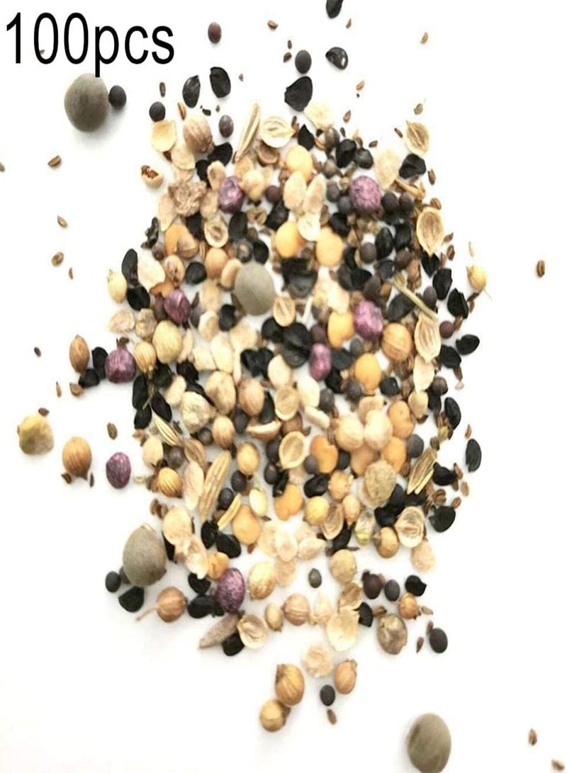 GGOOT 100Pcs Assorted Vegetable Seeds for Emergency | Nutritious Greenery Vegetable Plants Seedlings for Yard Garden Easy Growing Seeds 1 - Image 2