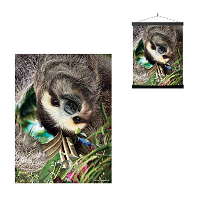 3D LiveLife Lenticular Wall Art Prints Hangin' Around from Deluxebase. Unframed 3D Sloth Poster. Perfect wall decor. Original artwork licensed from renowned artist, David Penfound - Image 1