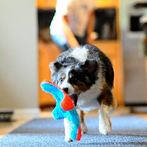 Chuckit! Indoor Fetch Squirrel Toy for Dogs - Interactive Dog Toys for Boredom, Orange and Blue - Image 5
