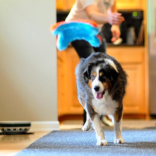 Chuckit! Indoor Fetch Squirrel Toy for Dogs - Interactive Dog Toys for Boredom, Orange and Blue - Image 4