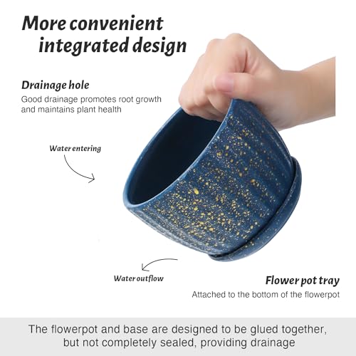 STHIE 4/5/6 Inches Ceramic Plant Pots with Drainage Holes and Saucers, Round Flower Pots for Indoor Plant, Modern Flower Planters Set of 3 (Blue with Dot-Big Size) - Image 2