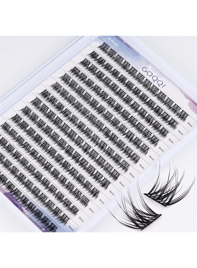 Lash Clusters, D Curl 168 Clusters False Eyelash, Individual Lashes Soft and Lightweight Only 10MM Length, Reusable Cluster Lashes(GQ03,10mm, D Curl)