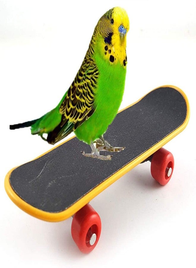 Litewoo Bird Parrot Intelligence Toys Mini Training Skateboard for Budgies Parakeet Cockatiel Lovebird Conure Small and Medium Bird Funny Cute Perch Toy - Image 1
