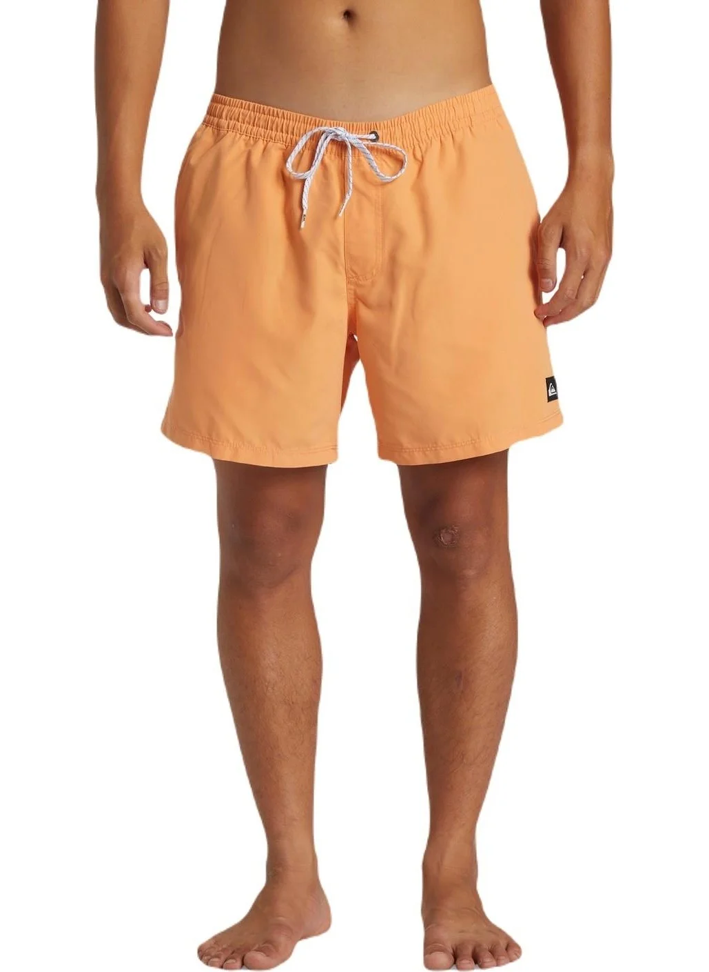 كويك سيلفر AQYJV03153 Everyday Solid Volley 15 Men's Shorts Swimsuit