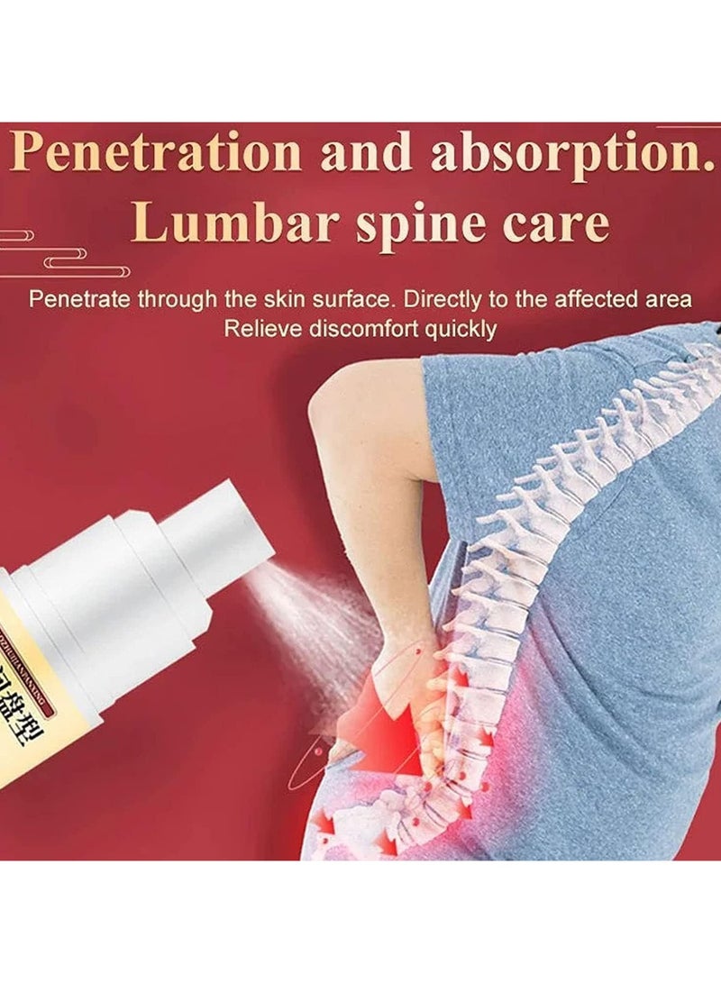 RedMapleTEK 2PACK Lumbar Spine Cold Gel Spray,Back Pain Relief Products,Natural Herbal Joint Pain Relief Spray,Knee Pain Relief Cold Compress Gel Spray,Lumbar Pain Relief Herbal Spray,for Relief of Joint Pain - Image 4