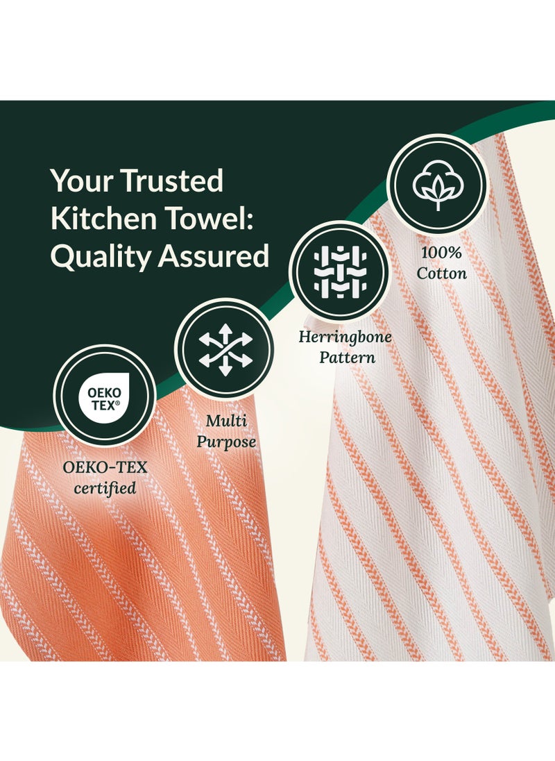 Cloud Scape Linen 100% Cotton Herringbone Kitchen Towels Set- Pack of 4, 18x 28 inches - Highly Absorbent and Quick Dry Dish Towels, Coral  - Image 4