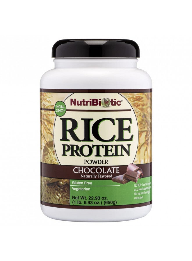 Nutribiotic NutriBiotic Chocolate Rice Protein, 1 lb. 6.9 oz | Low Carb, Vegetarian & Keto-Friendly Raw Protein Powder | Grown & Processed without Chemicals, GMOs or Gluten | Easy to Digest & Nutrient-Rich - Image 1
