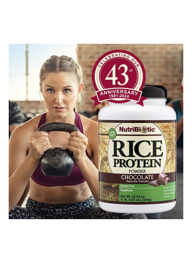 Nutribiotic NutriBiotic Chocolate Rice Protein, 1 lb. 6.9 oz | Low Carb, Vegetarian & Keto-Friendly Raw Protein Powder | Grown & Processed without Chemicals, GMOs or Gluten | Easy to Digest & Nutrient-Rich - Image 3
