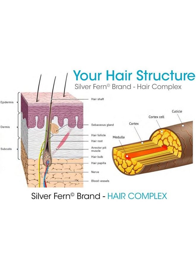 Silver Fern Hair Complex Hair Supplement For Promoting Healthy Hair - Each Bottle Contains 30 Days Of Powder Supply - 2 Bottles - Image 4