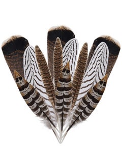 obmwang 12Pcs Natural Pheasant Feathers 10-30Cm 4 Style Feathers Mixed Feathers For Diy Craft Wedding Home Party Decorations  - Image 1