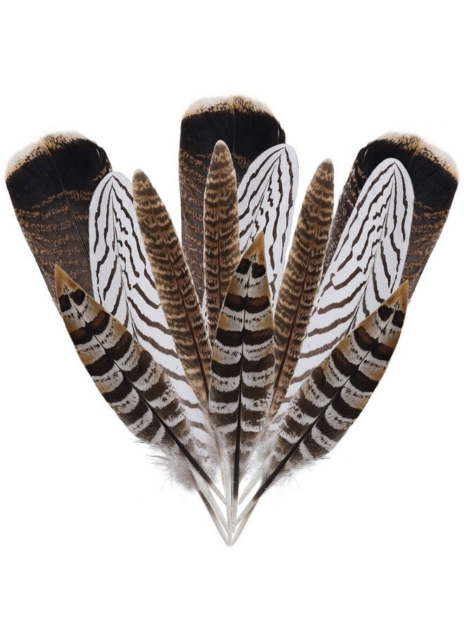 obmwang 12Pcs Natural Pheasant Feathers 10-30Cm 4 Style Feathers Mixed Feathers For Diy Craft Wedding Home Party Decorations - Image 1