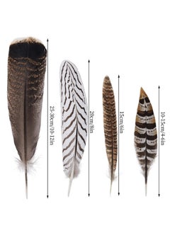 obmwang 12Pcs Natural Pheasant Feathers 10-30Cm 4 Style Feathers Mixed Feathers For Diy Craft Wedding Home Party Decorations  - Image 2