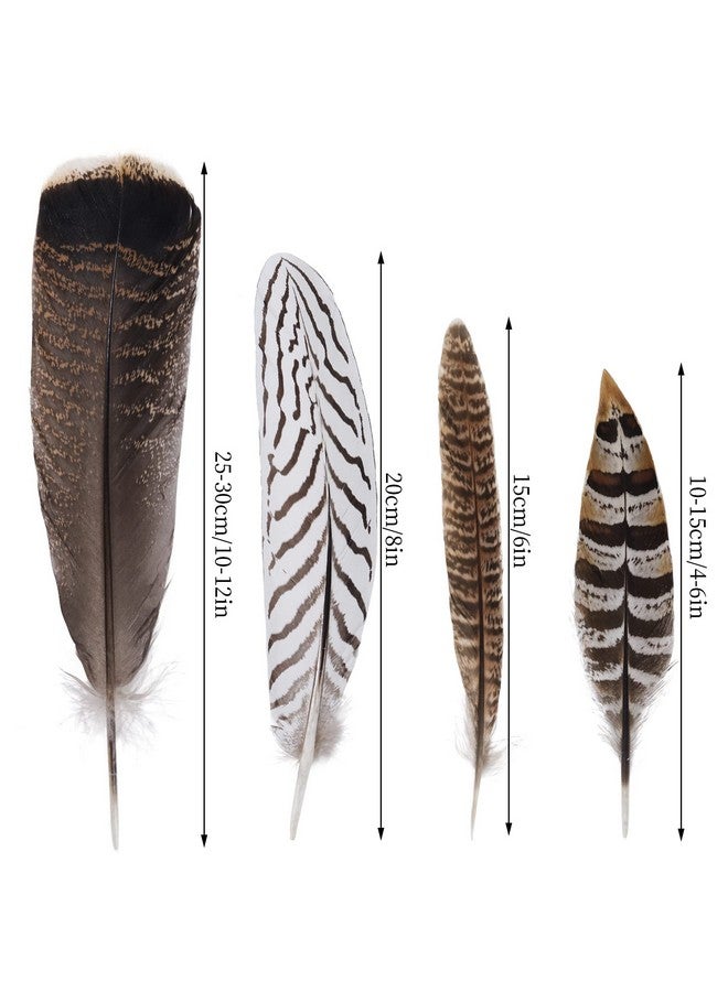 obmwang 12Pcs Natural Pheasant Feathers 10-30Cm 4 Style Feathers Mixed Feathers For Diy Craft Wedding Home Party Decorations - Image 2