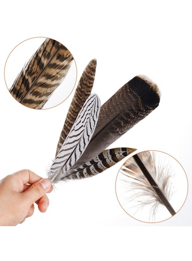 obmwang 12Pcs Natural Pheasant Feathers 10-30Cm 4 Style Feathers Mixed Feathers For Diy Craft Wedding Home Party Decorations - Image 3