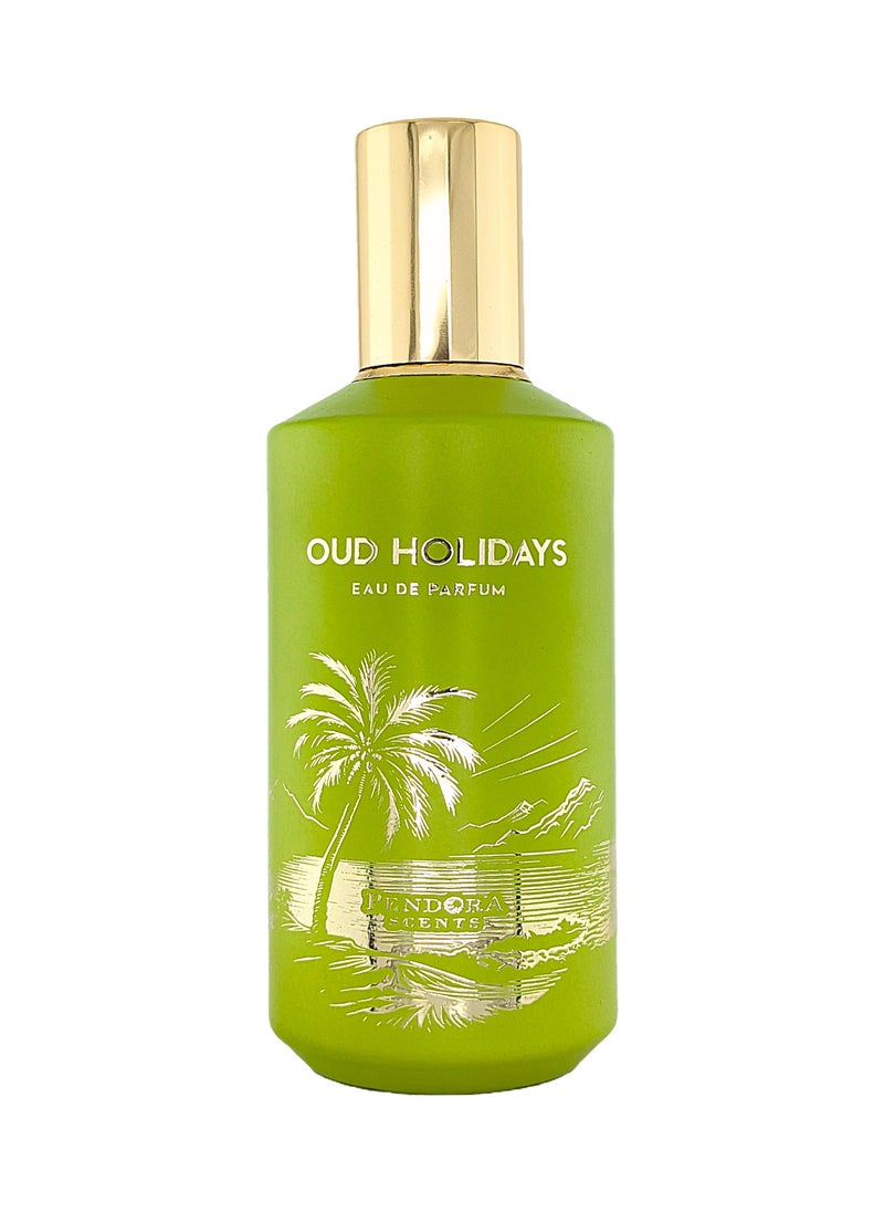 PARIS CORNER OUD HOLIDAYS 100ML BY PARIS CORNER  - Image 1