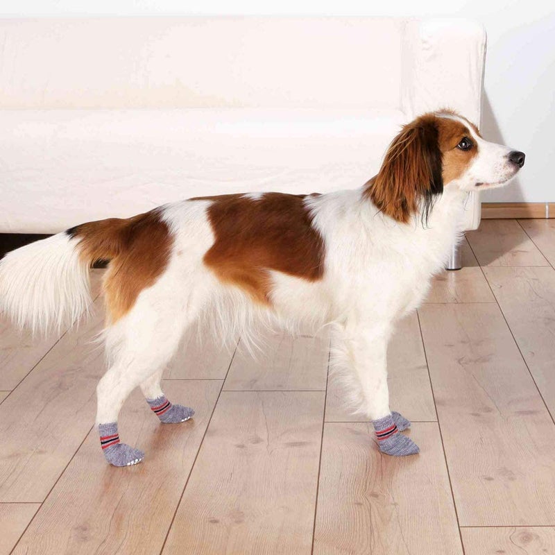 Trixie : - Dog Socks | Made with Cotton and Elasthane | Protect Your Pets from Small Wounds, Cold Floors and Dusty Furniture | Non-Slip with All-Round Rubber Coating – 2 Pcs M-L, Grey - Image 2