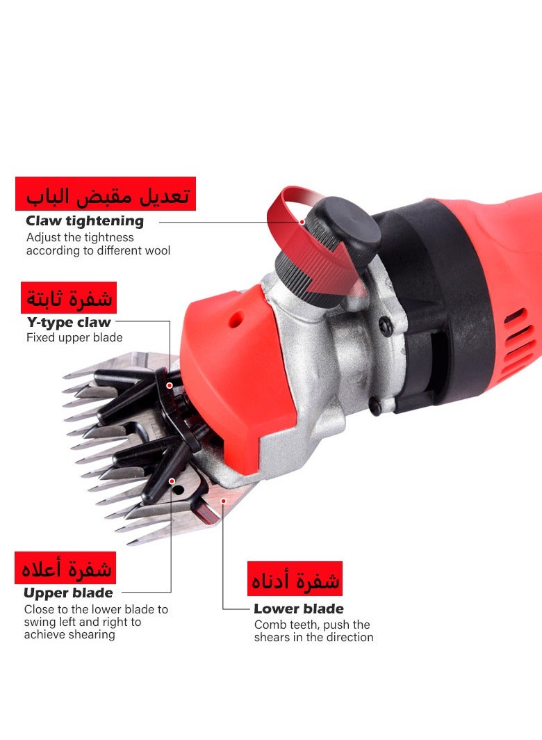 جيرزون مقص صوف احترافي بقوة 1000 وات، ماكينة قص شعر الحيوانات الأليفة الكهربائية، ماكينة قص شعر الحيوانات الاحترافية مع سرعة قابلة للتعديل - برتقالي - Image 5