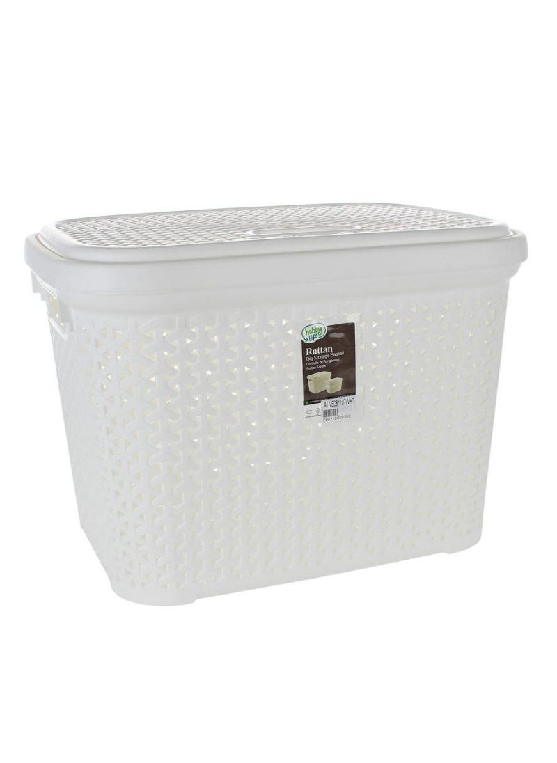 Hobby Life - Hobby Life Rattan Design Plastic Storage Box With Lid - Image 1