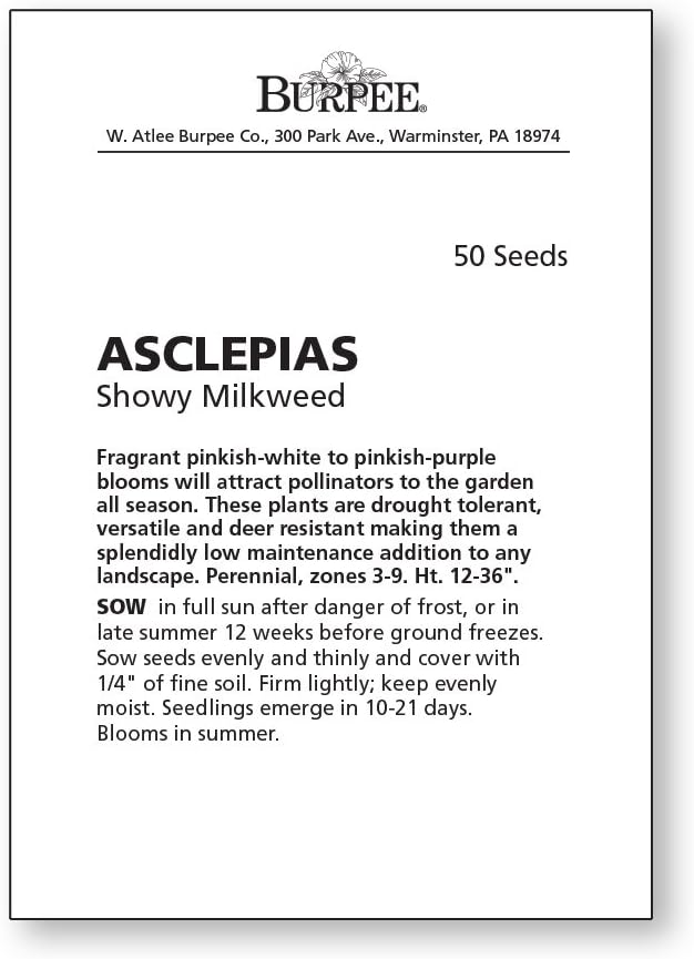 Burpee Showy Milkweed Asclepias Seeds 50 seeds - Image 4