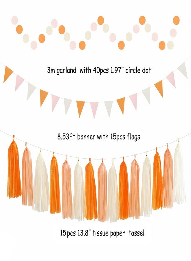 Hugtmr Orange-Beige Peach Fall-Boho Thanksgiving Party-Decorations - 31pcs Autumn Friendsgiving Banner,Streamers Tassel Garland,Birthday Tissue Pom Poms, Paper Lantern Fans,Bridal Shower Hanging Decor Hugtmr - Image 3