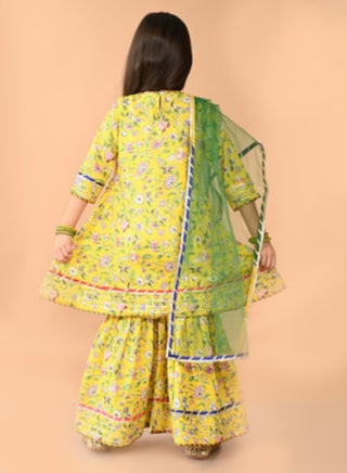Printed Kurta Sharara Set - pzsku/Z07DAA5F1BE178DE59634Z/45/_/1719980960/0f9ecd72-473e-45f7-97e4-b512ebcbcae0