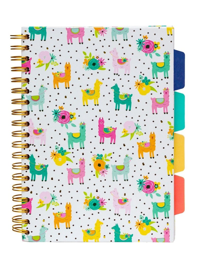 Pukka Pad B5 Size Colour Wash Project Notebook With Four Divisions  - Image 1
