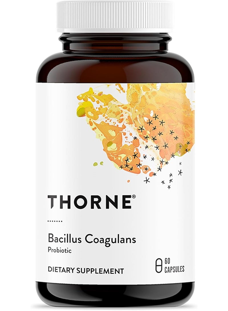 ثورن Bacillus Coagulans Probiotic لدعم صحة الأمعاء وانتظام الأمعاء | 60 كبسولة مكمل غذائي - Image 1