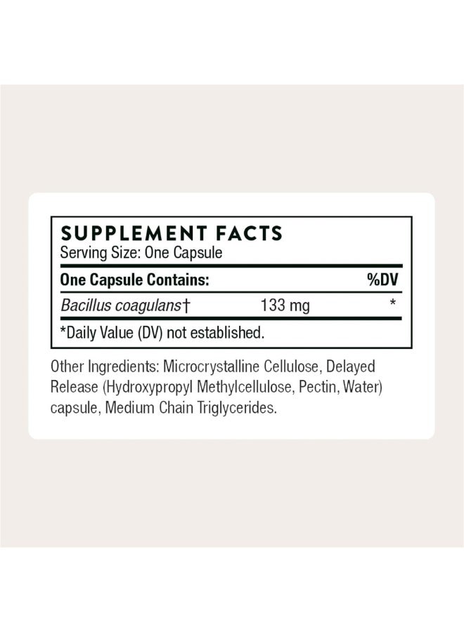 ثورن Bacillus Coagulans Probiotic لدعم صحة الأمعاء وانتظام الأمعاء | 60 كبسولة مكمل غذائي - Image 2