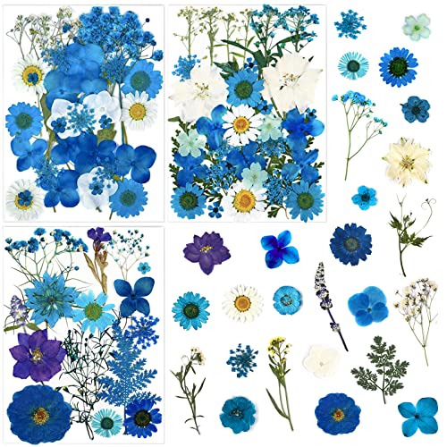 LUCISKY 85 Pcs Blue Pressed Dried Flowers for Resin Molds, Real Natural Flowers Leaves Bulk for DIY Art Nail Crafts, Jewelry, Candle, Soap Making - Image 1