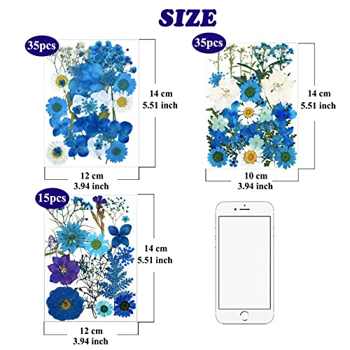 LUCISKY 85 Pcs Blue Pressed Dried Flowers for Resin Molds, Real Natural Flowers Leaves Bulk for DIY Art Nail Crafts, Jewelry, Candle, Soap Making - Image 5