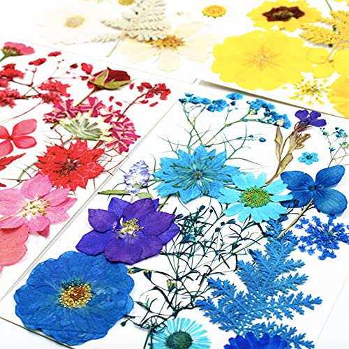 LUCISKY 85 Pcs Blue Pressed Dried Flowers for Resin Molds, Real Natural Flowers Leaves Bulk for DIY Art Nail Crafts, Jewelry, Candle, Soap Making - Image 3